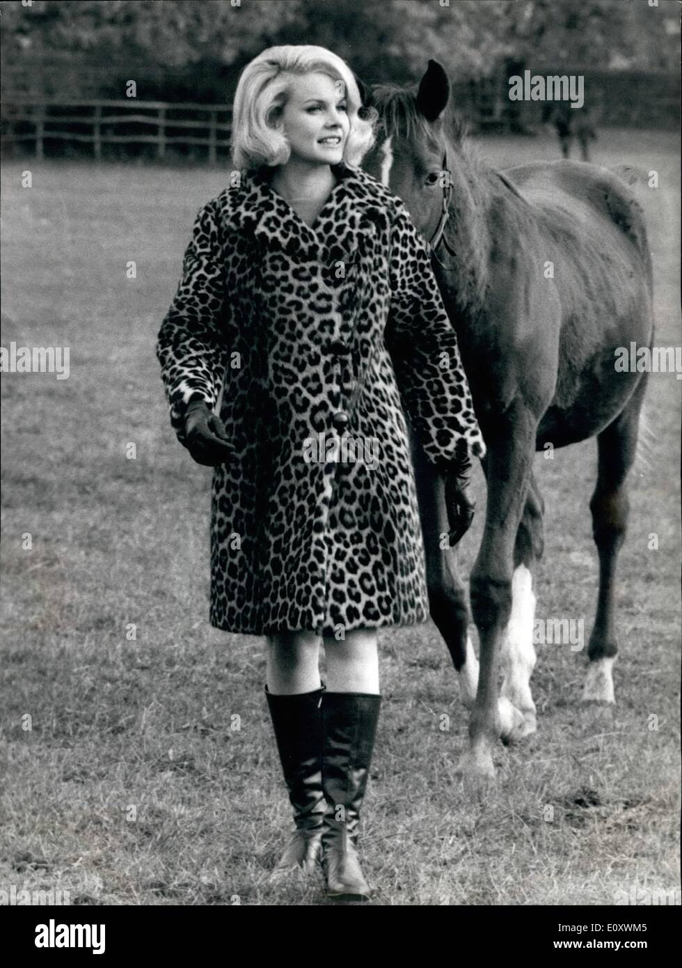 Dec. 12, 1967 - Rome, December 1967 = Beautiful blonde American actress Carroll Baker, who is in Rome to turn ''Honeymoon'' costar French actor Jean Sorel, visited the Olgiata horse breeding, and got to know the son of the famous horse Ribot and of Albertinella. It is ''Alberti'' born on May 1967. Photo shows Blonde Carroll Baker visiting ''Alberti' Stock Photo