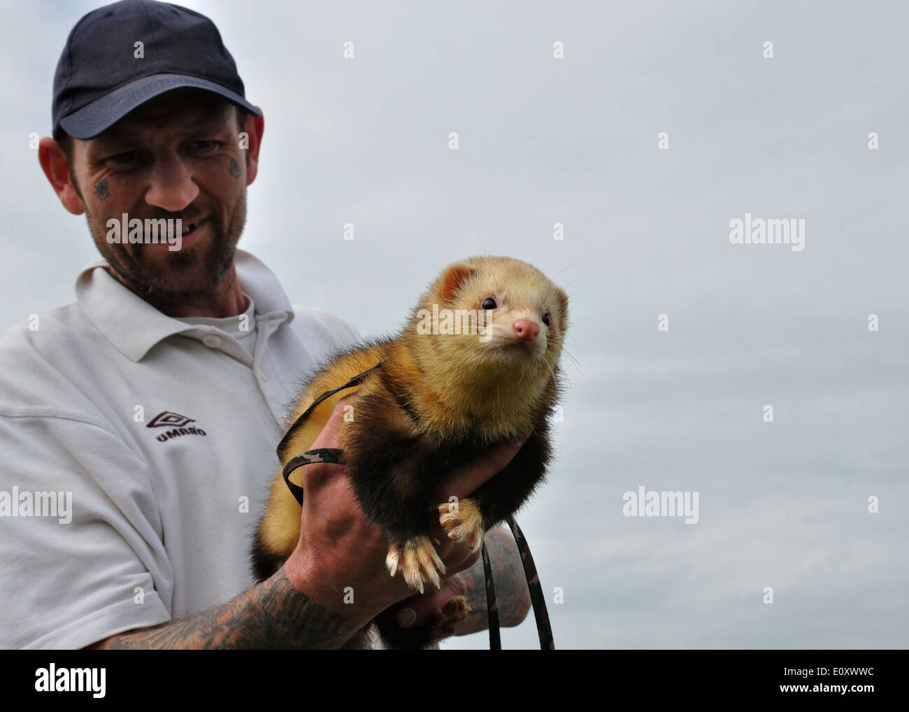 British man with tattoos on his face and arms,wearing a peak cap,holding his pet ferret.Lawford,Essex,UK Stock Photo