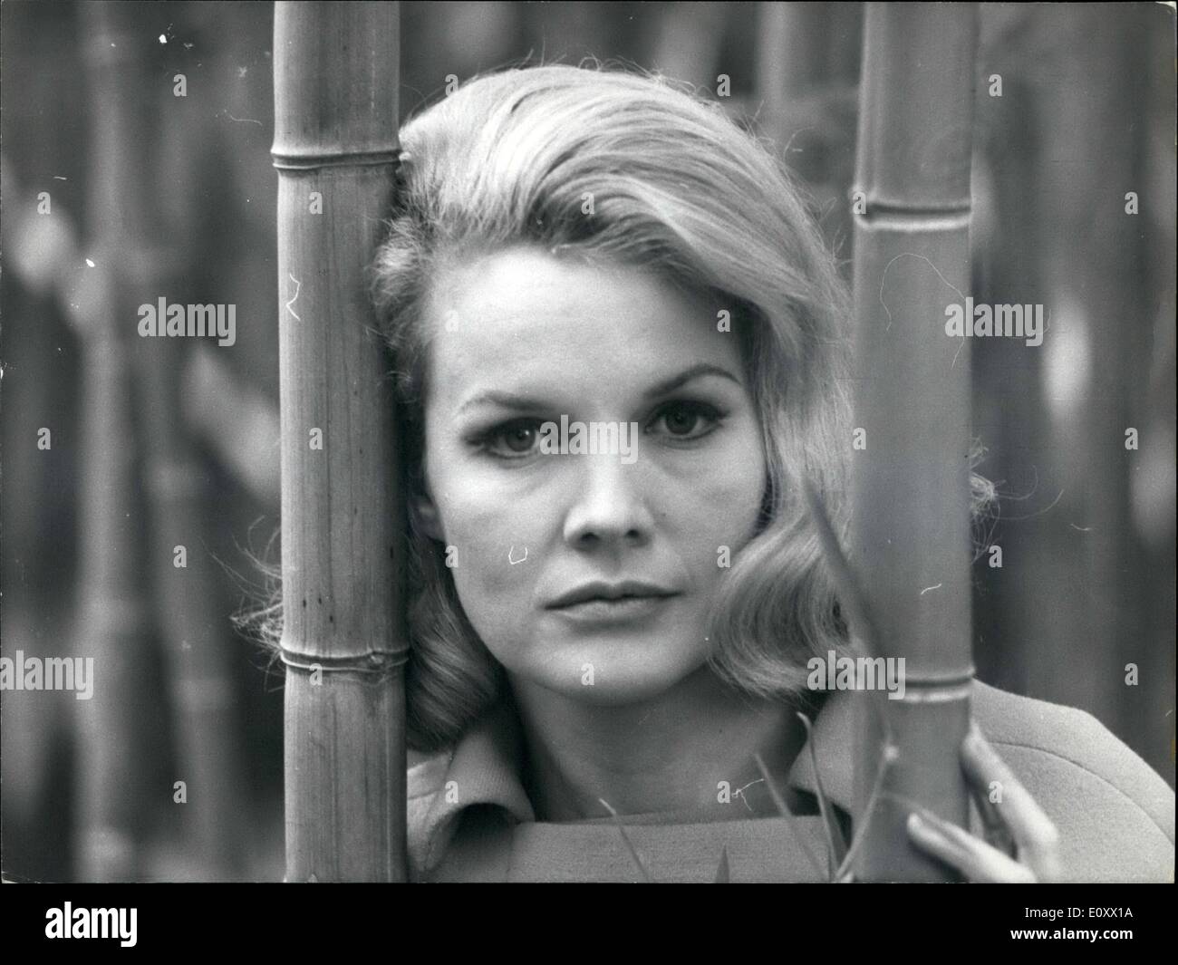 Dec. 12, 1967 - Rome: Beautiful blonde actress Carroll Baker is filming in a villa near Rome ''Honeymoon'', costarring the French actor Jean Sorel. Carroll and Jean are husband and wife, in the suspense film. Jean has the end to kill his wife Carroll but only at the last scene of the film, the intrigue will be unmasked. Photo Shows blonde actress Carroll Baker. Stock Photo