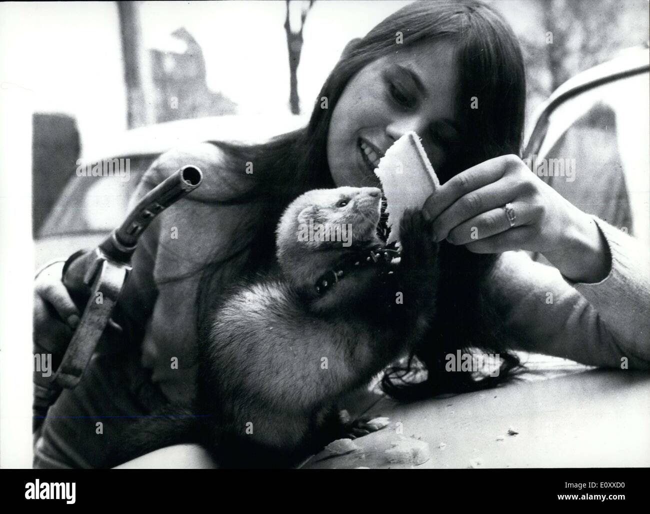 Mar. 04, 1968 - Pictured here is Gabriele and her friend Filius at a gas station in Frankfurt. Filius is a cross between a stoat and a marder. Filius is spoiled rotten as he gets anything he wants. He has an appetite for bread, milk, and dog treats. She doesn't feed him meat. She enjoys taking Filius out for a walk, putting a leash on him like he was a dog. Stock Photo