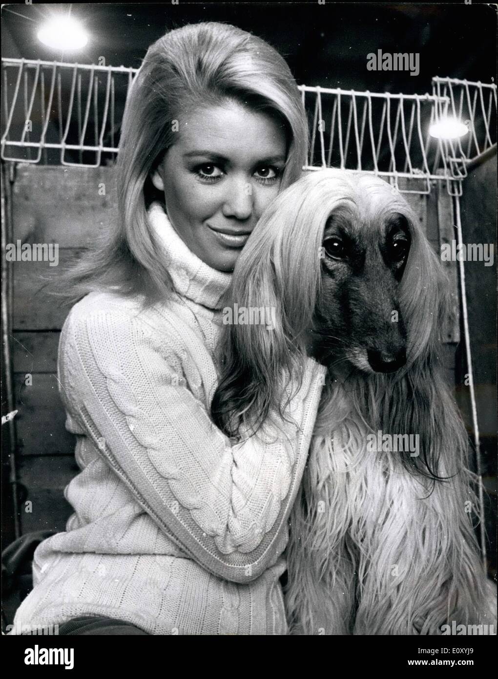 Feb. 02, 1968 - Similar Hair styles seen at Cruft's - the Biggest Dog Show in the world: This year there is a record entry of 7,017 dogs at Cruft's, the biggest dog show in the world, now being held at Olympia. After the judging about 500,000-worth of them will be exported. Photo shows Pretty actress Annette Andre, 23, makes a charming picture as she poses with similar-hair -do as ''Karib'', an Afghan Hound entered for the show by her friend, Mrs. Race, of Wemhley Park, Middlesex. Stock Photo
