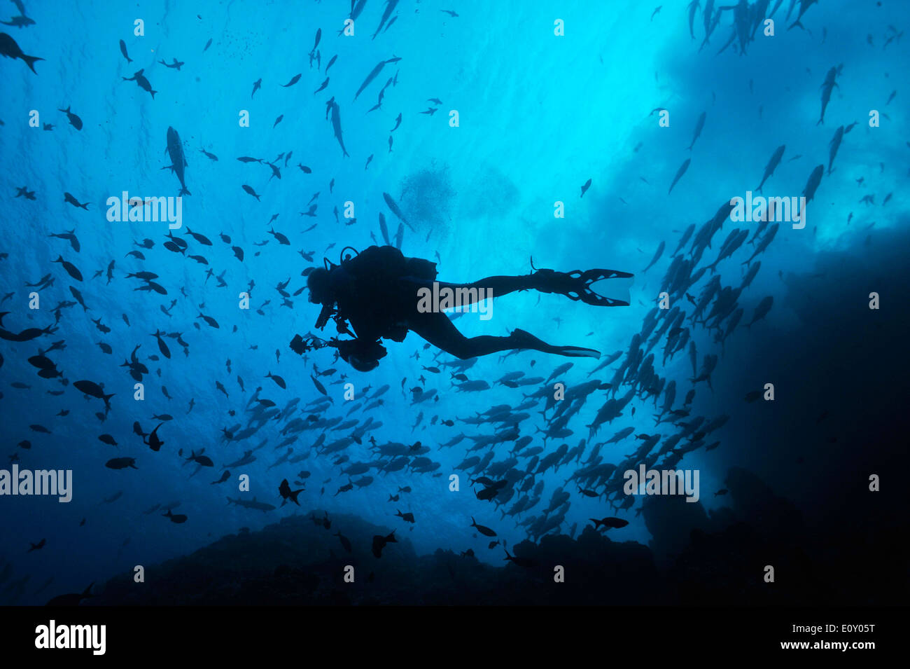 Scuba diver silhouette hi-res stock photography and images - Alamy