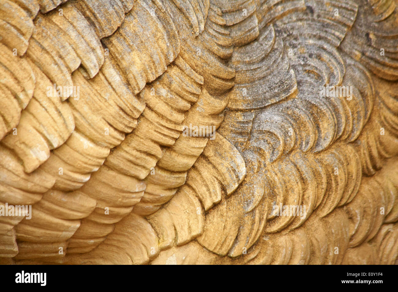 Sculptured patterns hi-res stock photography and images - Alamy