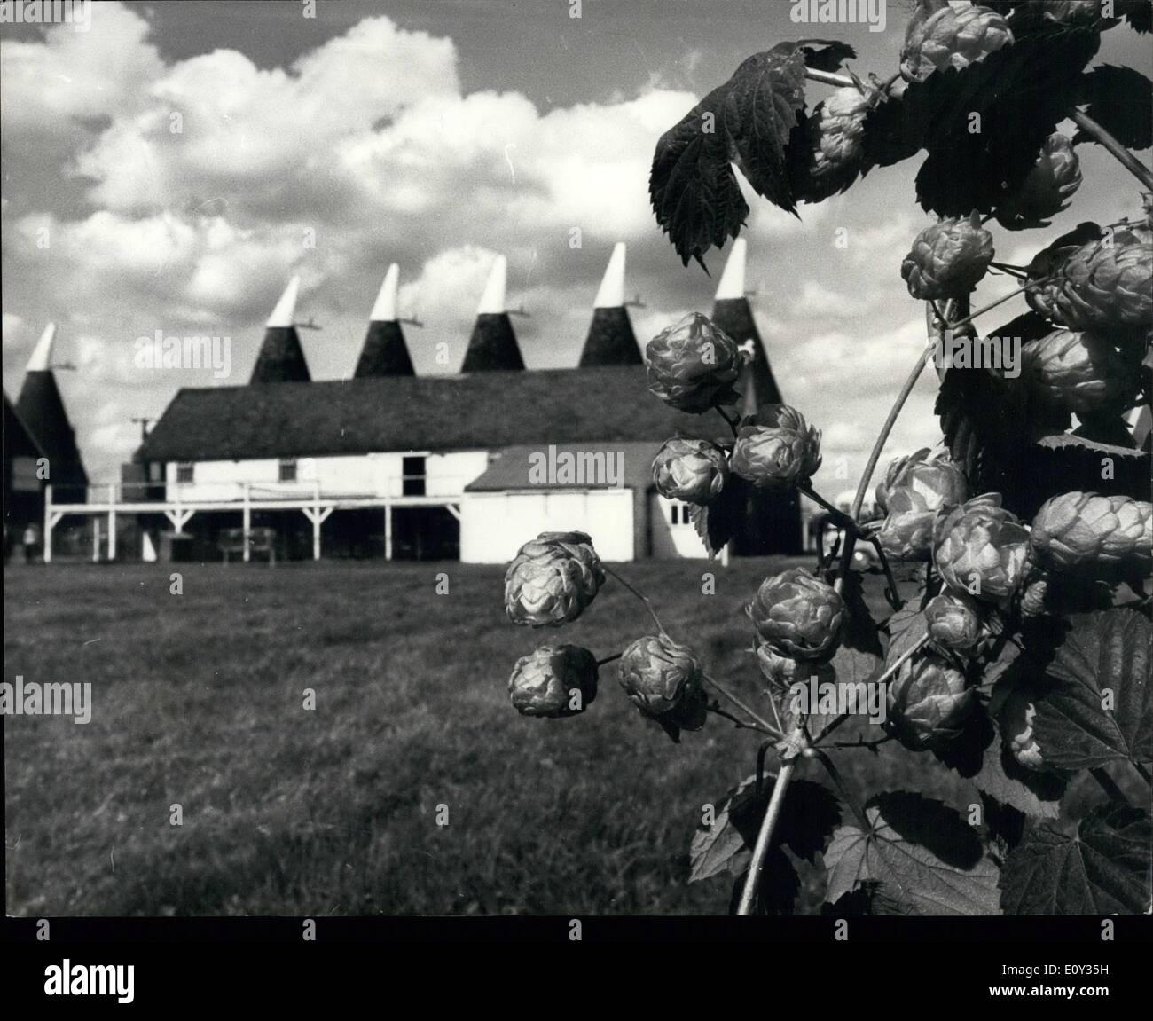 The hop farm kent paddock wood hires stock photography and images Alamy