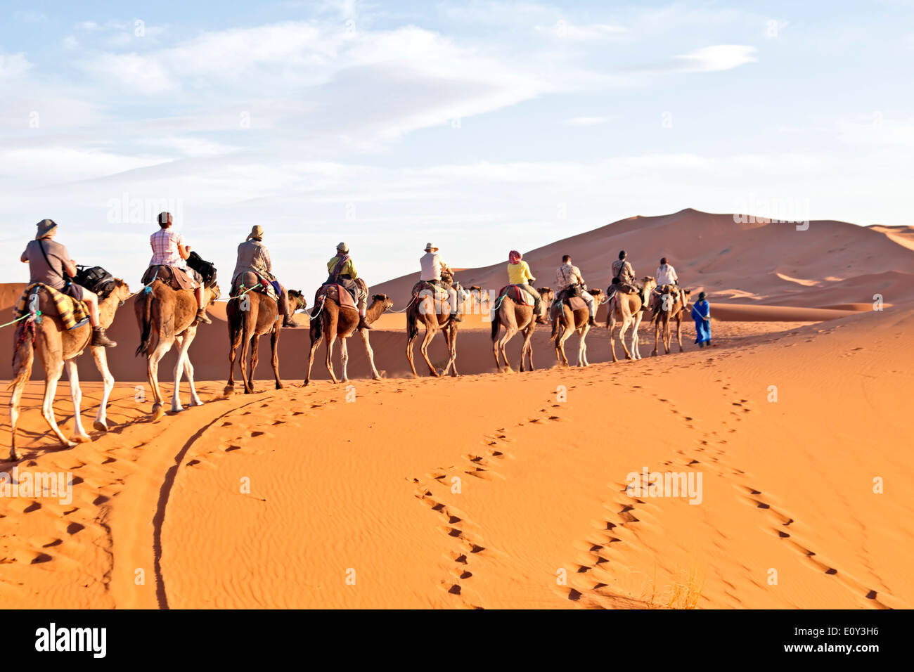 Camel caravan going through the sand dunes in the Sahara Desert, Morocco. Stock Photo