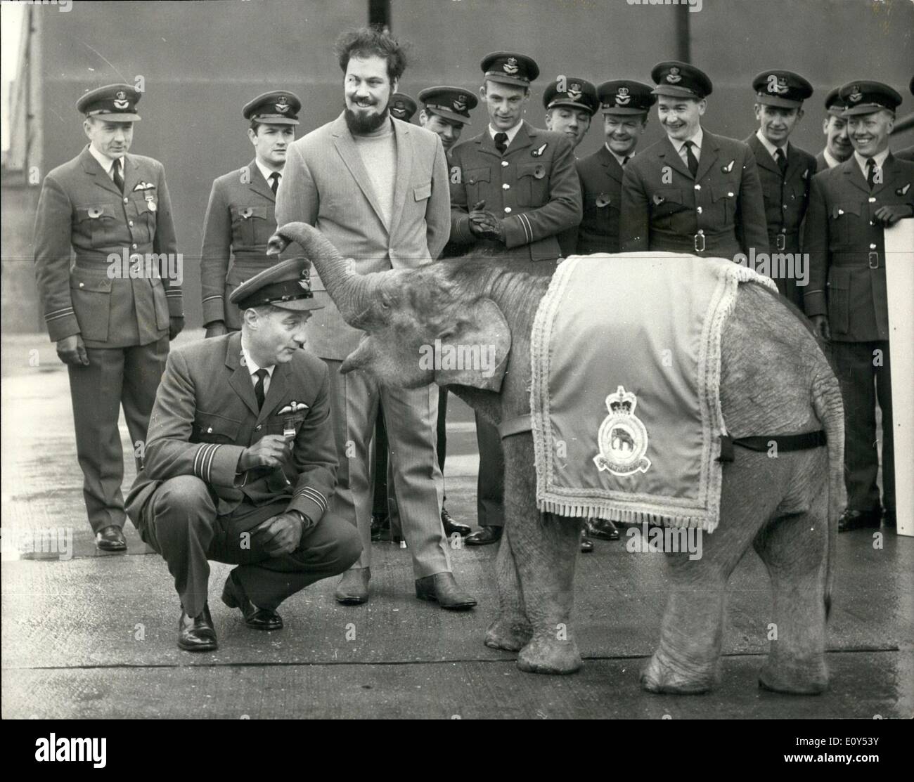 Nov. 11, 1968 - R.A.F. Squadron Adopts Elephant As Mascot: No. 27 Squadron of R.A.F. Strike Command, held a parade today at R.A.F. Station Scampton, near Lincoln, to mark the adoption of ''Gosta'' an eight-months old elephant from Sherwood Zoo, Hucknall, Nottingham. It is also the 53rd. anniversary of the Squadron's formation. The elephant is commemorated in No 27 Squadron's badge: it derives from the first aircraft with which the squadron was equipped in 1915 the Martinsyde Scout, later to be called the Martinsyde Elephant because of its cumbersome appearance Stock Photo