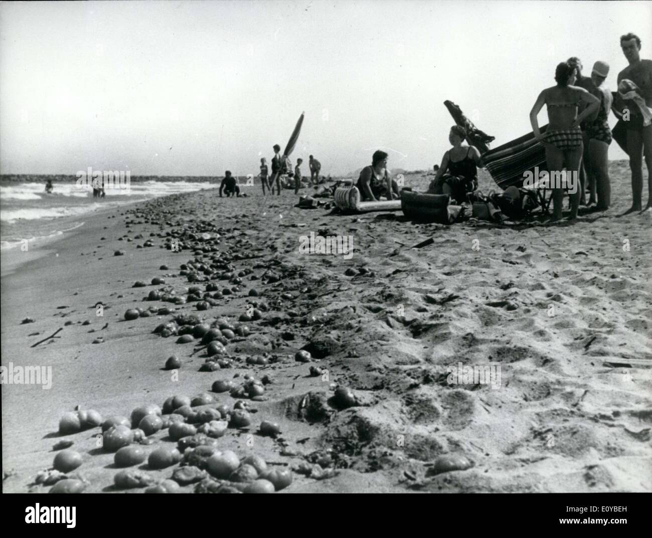 Aug. 07, 1969 - Either growers could not sell them and threw them on the beach or a storm blew the fruit to sea, much to the displeasure of beach goers. Stock Photo