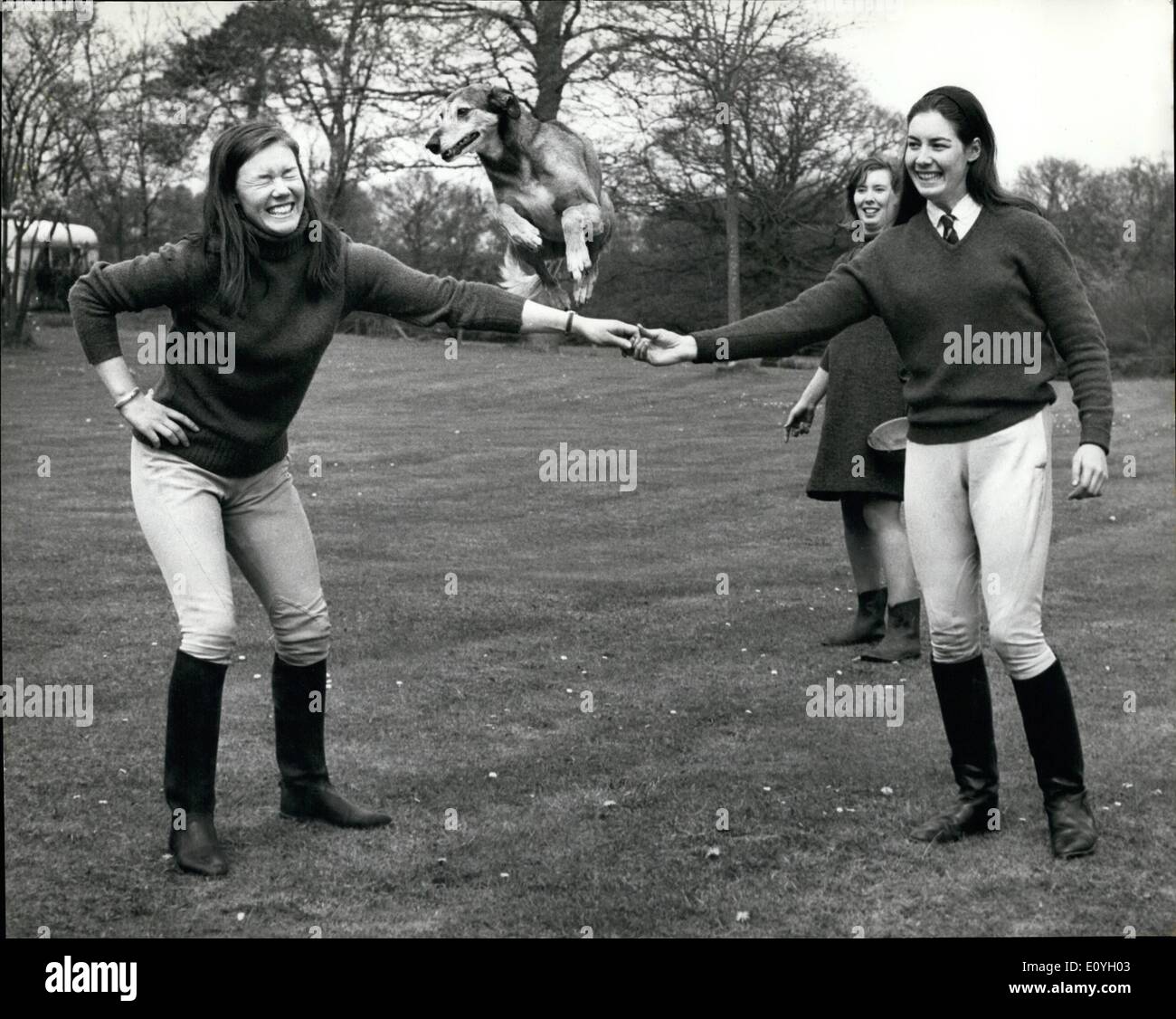 May 05, 1970 - Champion show Jumper's Jumping Dog: Jane Bullen, the Champion Show Jumper and her sister Sarah, also a show jumper, his name is Benny and he will jump any hurdle in sight. Picture Shows: The Jumping sisters enjoying a moment of fun with their clever jumping dog, a Lurcher, Benny, L-R Sarah and Jane Bullen hold hands to make a hurdle, in back ground is the other sister Jennie. Stock Photo