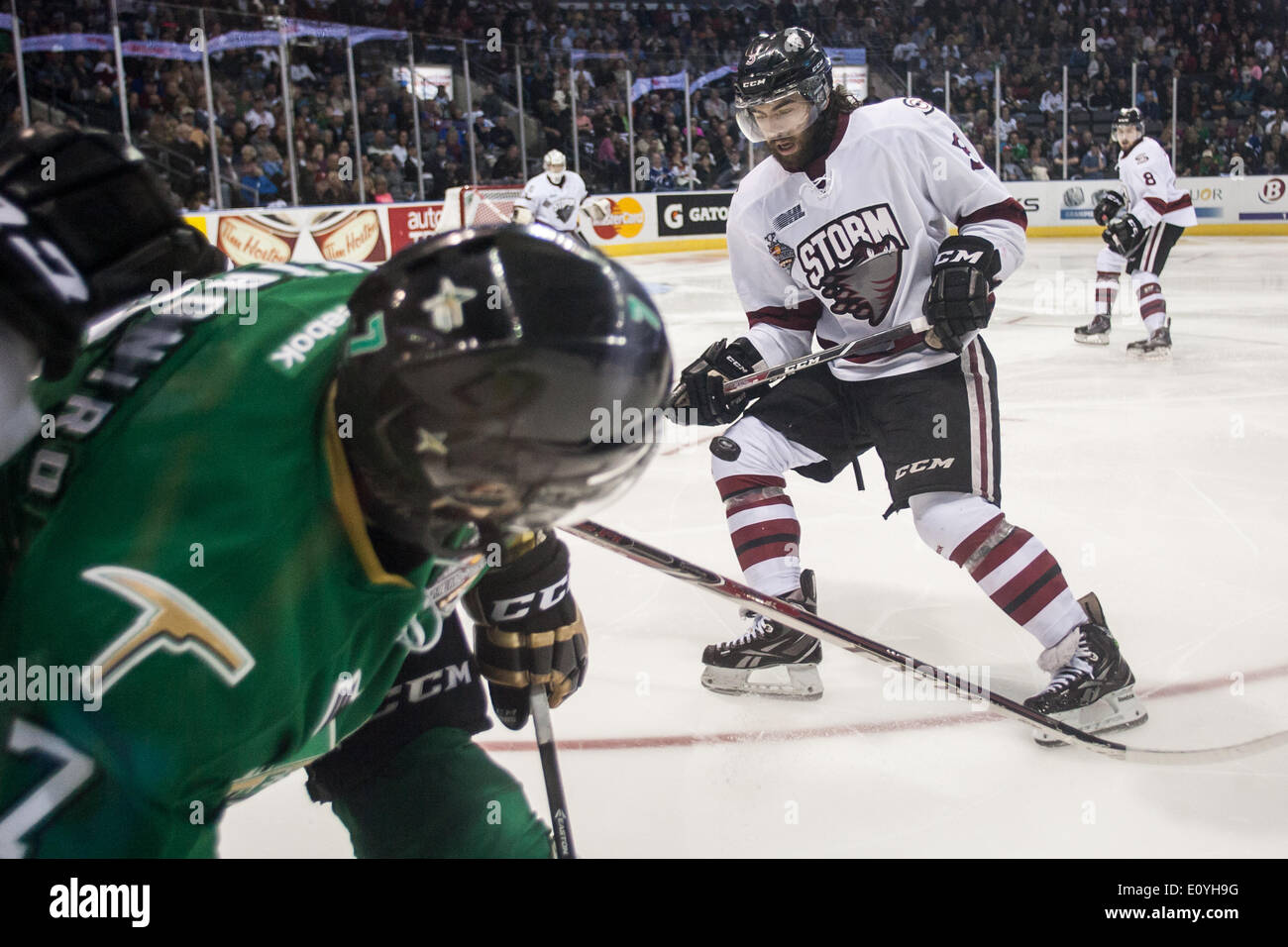 London, Ontario, Canada. 19th May, 2014. Guelph Storm player Phil Baltisberger reacts to the puck being freed from the boards during their game against the Val-d'Or Foreurs at the 2014 Memorial Cup in London Ontario, Canada on May 19, 2014. Guelph went on to beat Val d'Or by a score of 6-3 to be the only undeated team in the tournament. Credit:  Mark Spowart/Alamy Live News Stock Photo