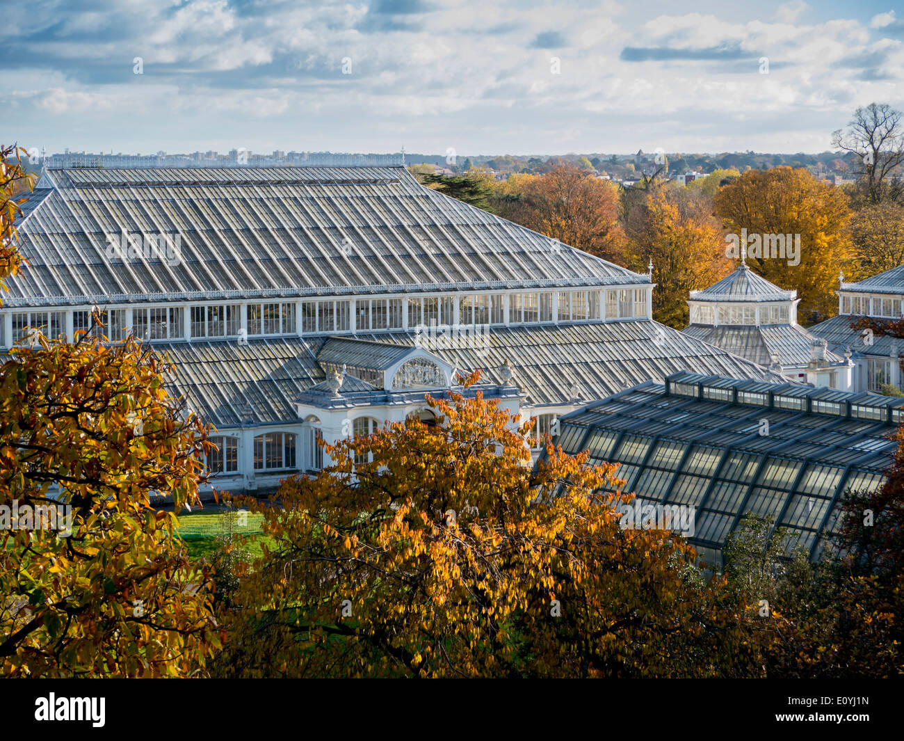 Europe, UK, England, London, Kew Gardens Temperate House autumn Stock Photo