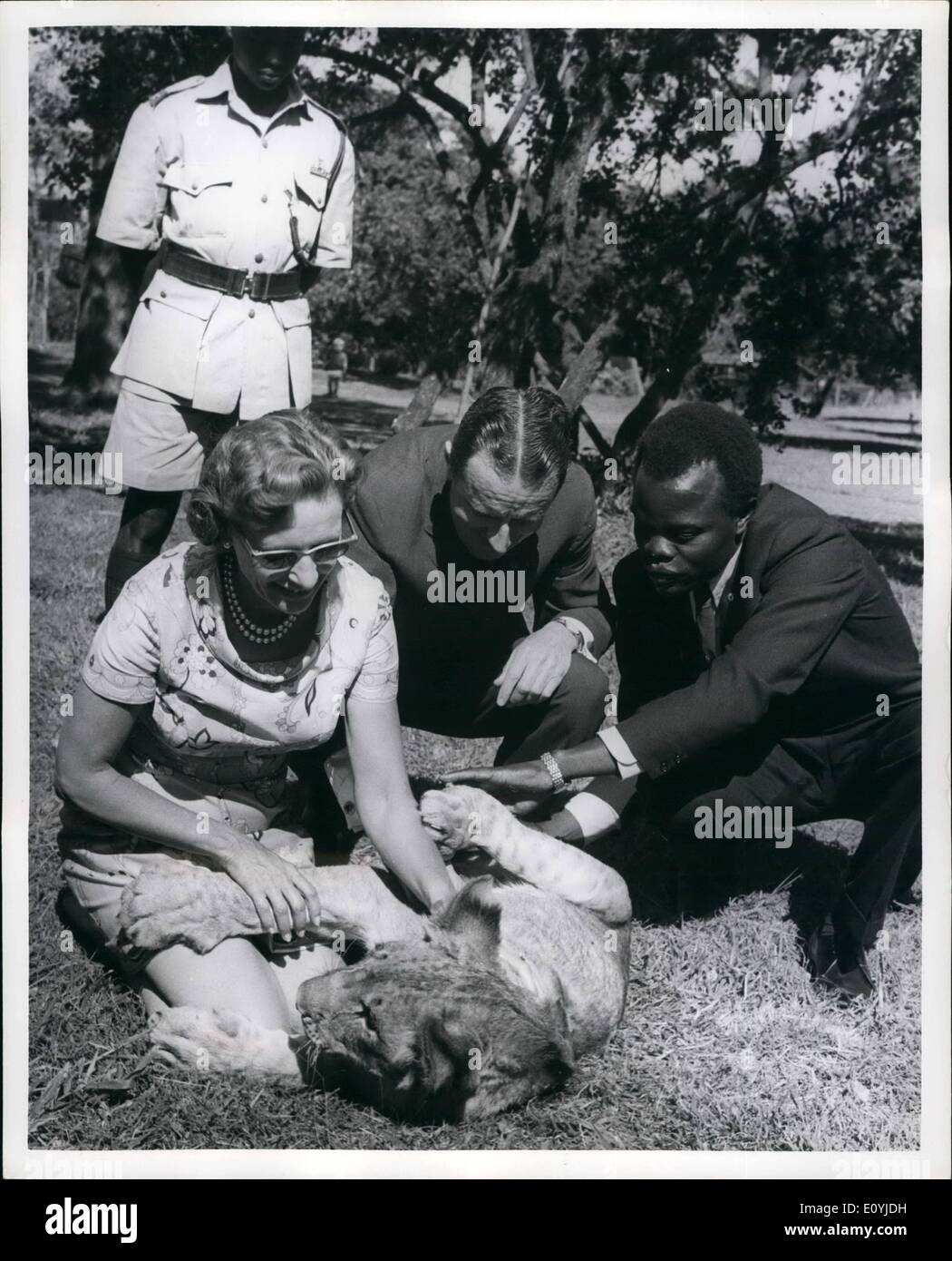 Jul. 07, 1970 - Lion Cub presented to Mr. & Mrs. Raymond C. Firestone by Kenya Government: Pictures taken at Nairobi Animal Orphanage today when a 8 month old lion was presented by the Kenya Government to Mr.Raymond C. Firestone head of the American tire company in Akron, Ohio. He in turn will donate the lion to Overtan Park Zoo in Memphis, Tennessee. The lion called Jimmy became an orphan when his mother was shot by the Kenya Game Department officials in Wajir (Northern Kenya), because she was a man-eater Stock Photo