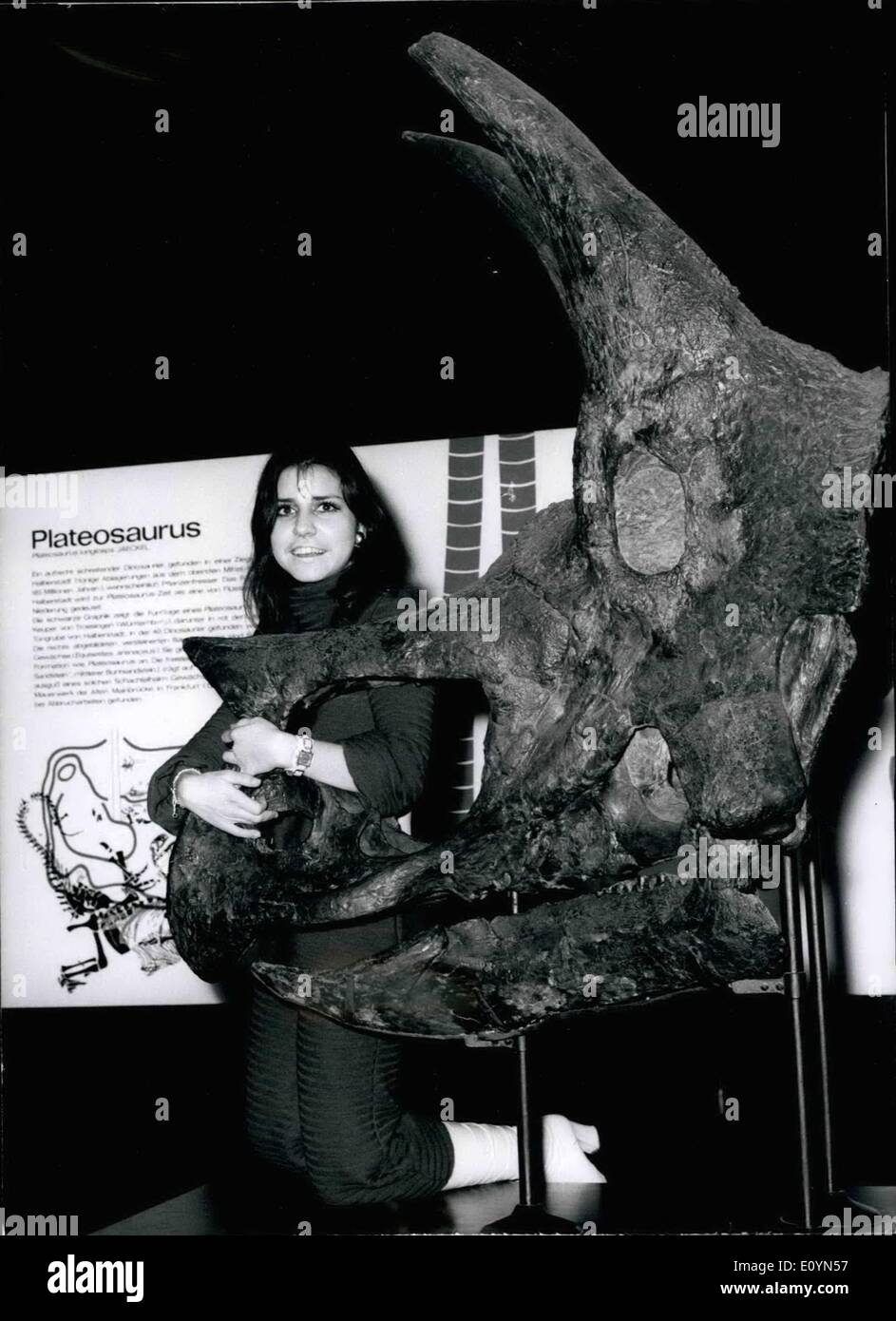 Nov. 11, 1970 - Young Singer Tina York in the Senckenber-Museum Tina York is very interested in (died out) animals. In Francfurt's Senokenberg-museur which io said to be the moderneot ecientifio museum of Europe, the 16-year-old singer has a good opportunity to satisfy her urge for knowledge and to let impress herself by the marvellous head of a ''Plateoeaurus'' (picture). Figuratively Tina wants to become h,reelf a ''big animal'' ltim fer instance her ideals Caterina Valente, Ester Ofarim, Mary Roos etc. So far her name is not very known yet, but this can change Stock Photo