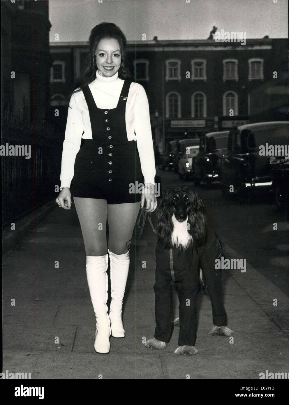 Feb. 05, 1971 - Cruft Dog Show. keystone Photo Shows: 18 year Edwina Rigby of Birmingham, wearing shorts as she arrived with an Stock Photo