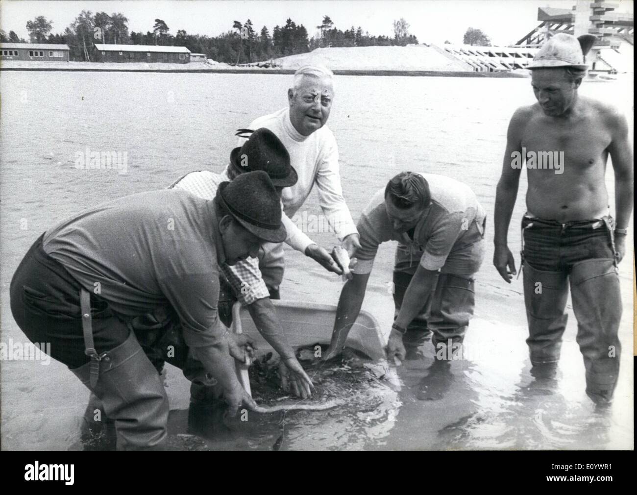 Aug. 08, 1971 - Trouts In The Olympic Rowing-Route In Munich: 1250 ''Olympic Trouts'' ..were put in the rowing-regatta-course in the Olympic grounds last weekend. They soul protect against water plants and keep the water clean. The President of the Olympic-Building-Company, Carl Mertz (middle) helped the members of the ''Club-of Isac-fisherman'' who rented the place for the rime after Olympics, to put the fish in the water. They were very surprised to find different sorts of fishes already in the regatta-course. A few of the luces were taken out. Stock Photo