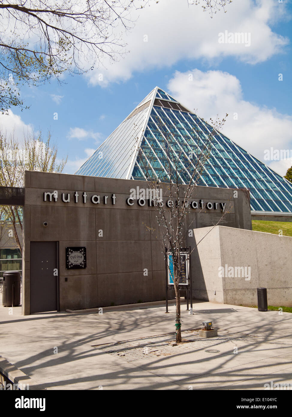 The distinctive glass pyramids of the Muttart Conservatory, a botanical
