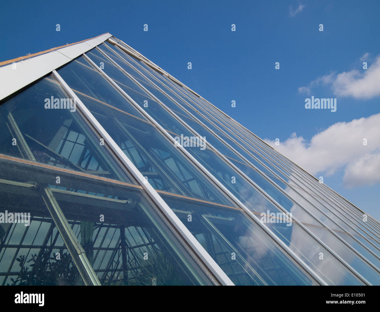 The distinctive glass pyramids of the Muttart Conservatory, a botanical
