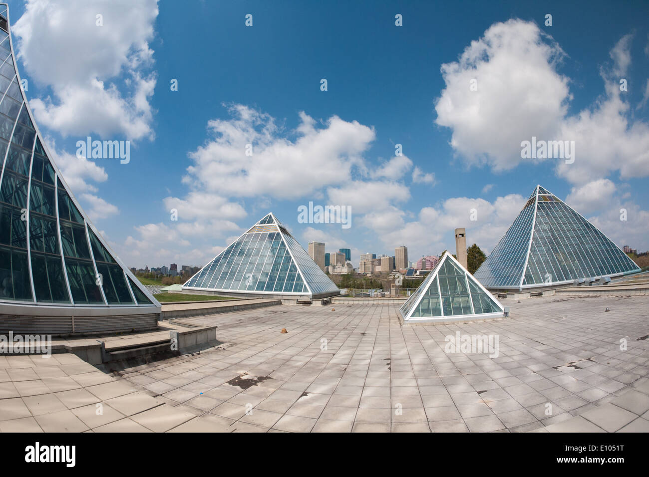 A fisheye view of the glass pyramids of the Muttart Conservatory and the Edmonton skyline.  Edmonton, Alberta, Canada. Stock Photo