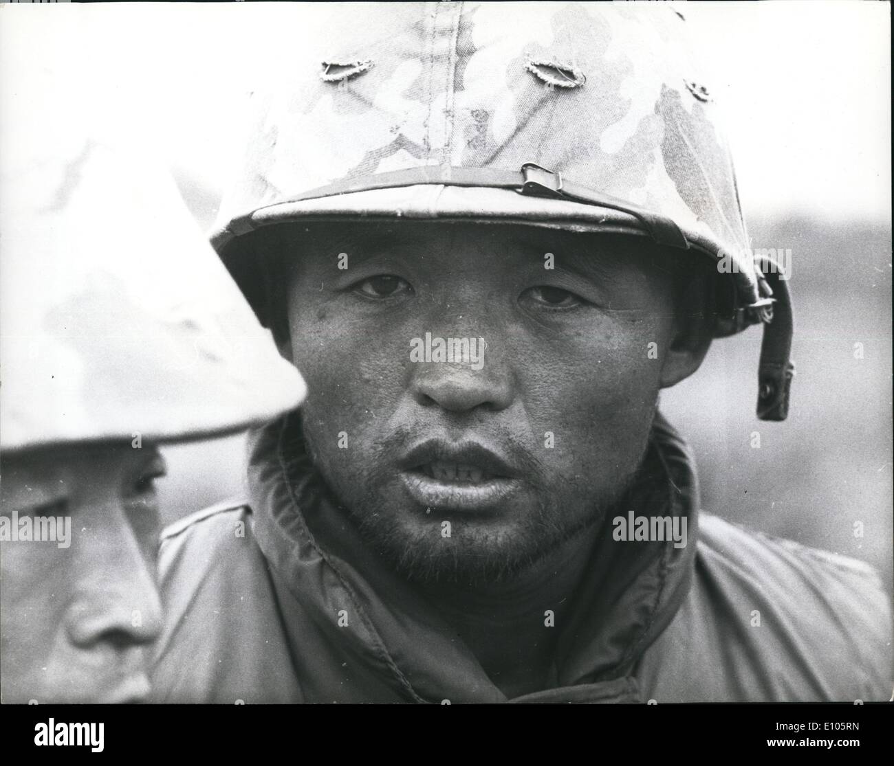 Korean tiger hi-res stock photography and images - Alamy