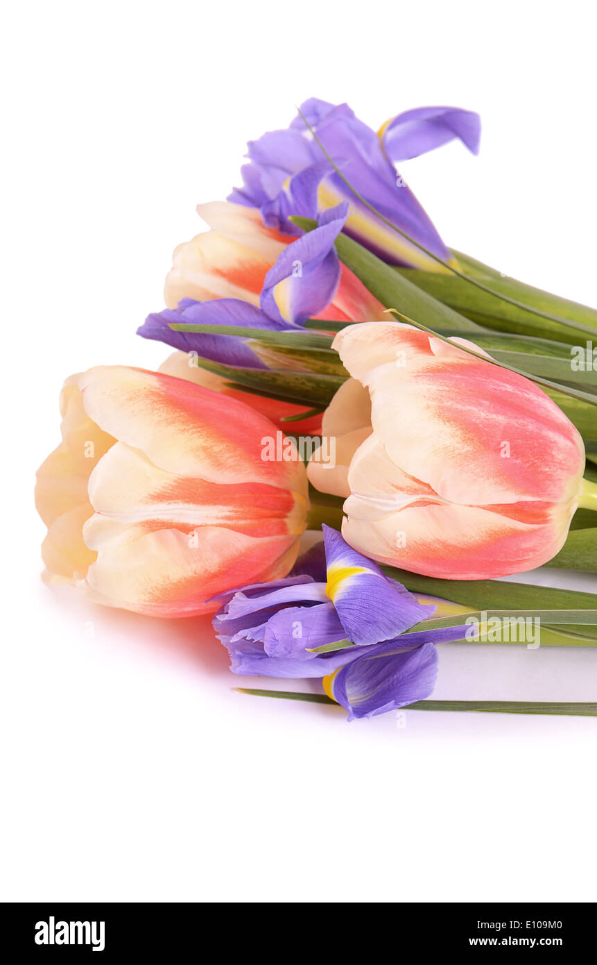 The spring flowers isolated on white background Stock Photo - Alamy