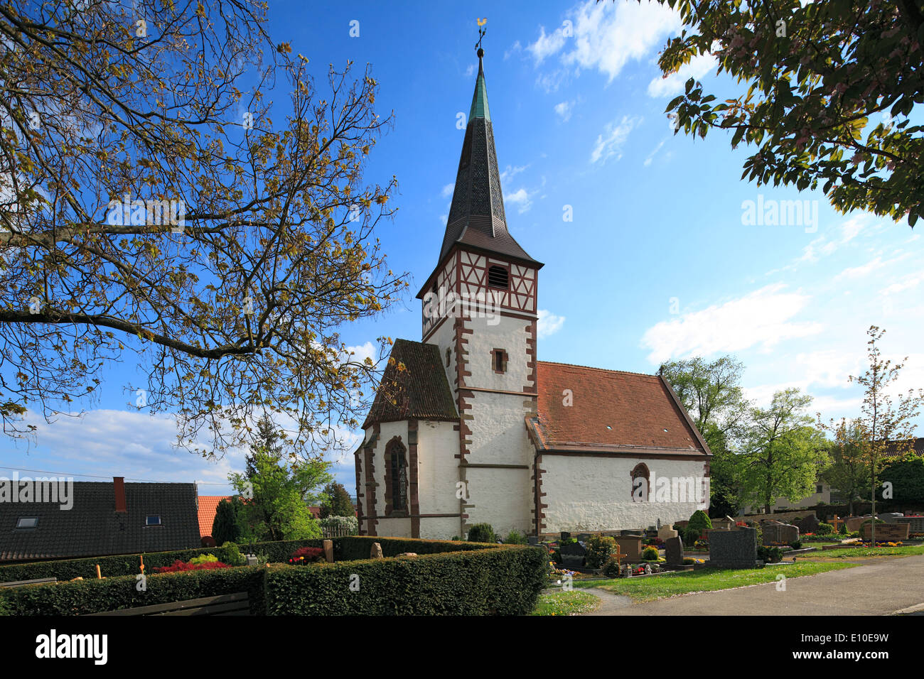 Single ditzingen