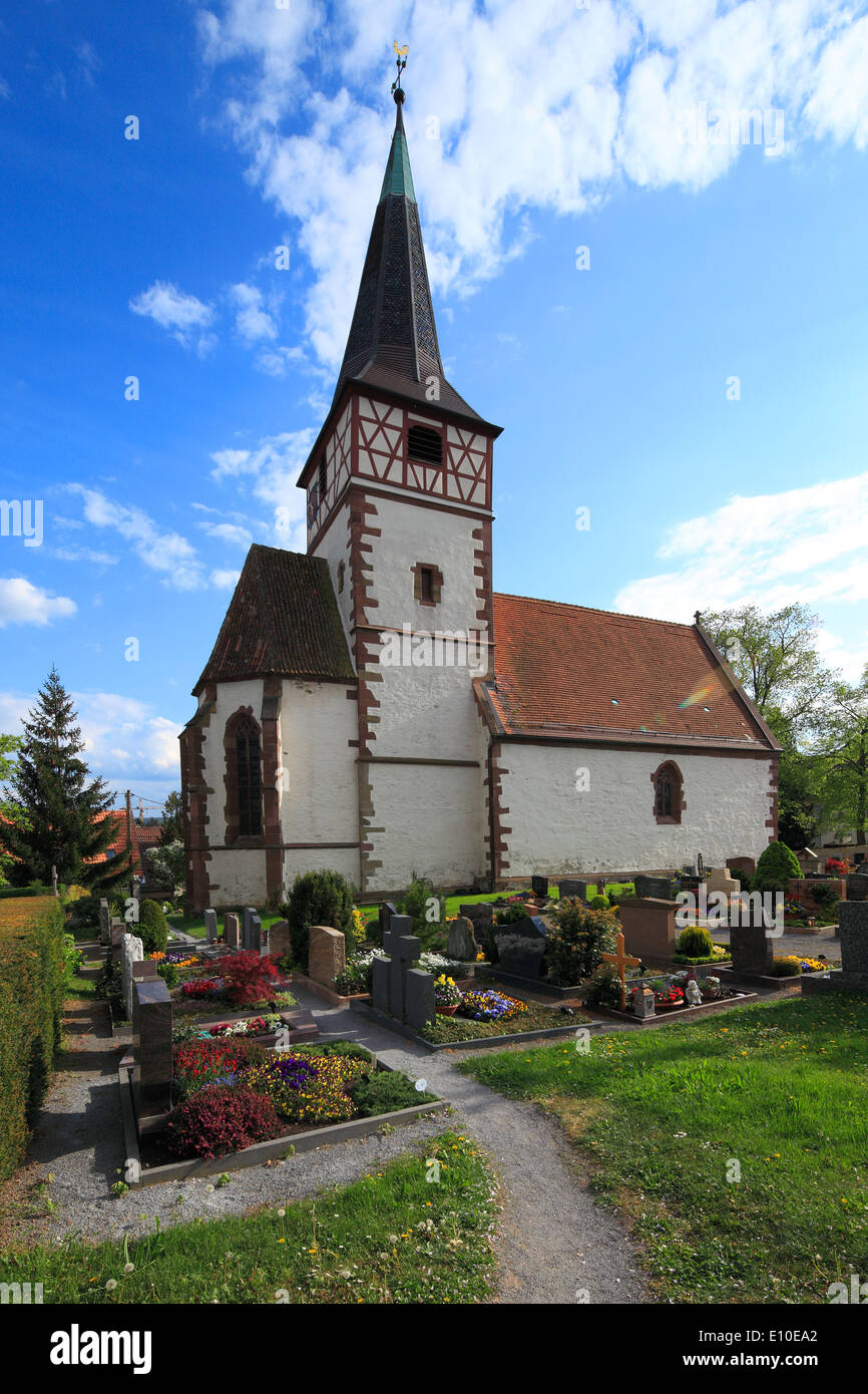 Single ditzingen