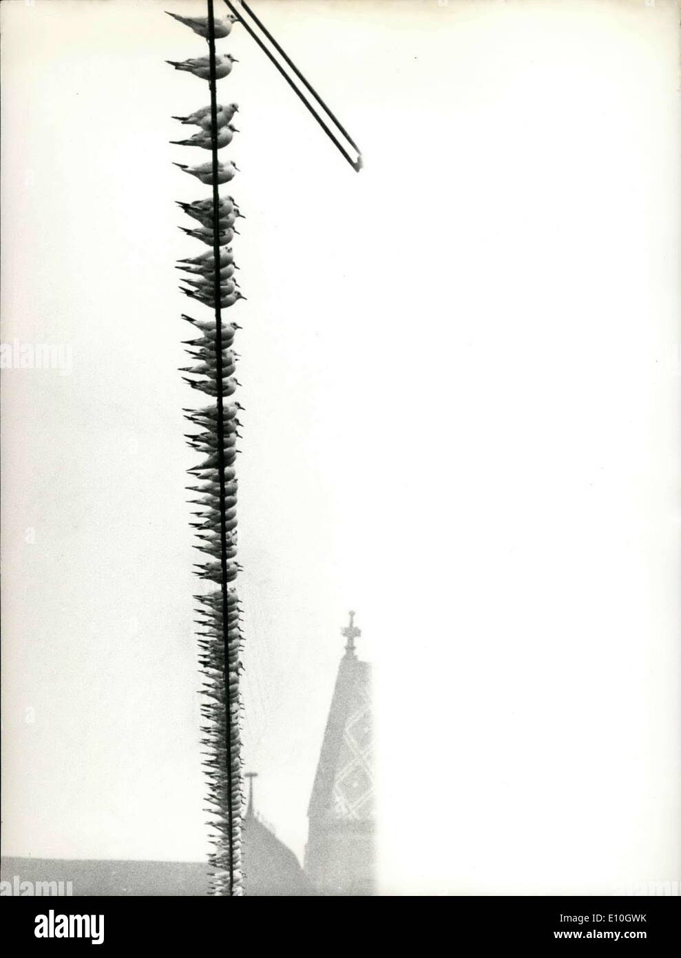 Jan. 22, 1973 - The High art Of Tightropewalkers: Is shown here by this ...