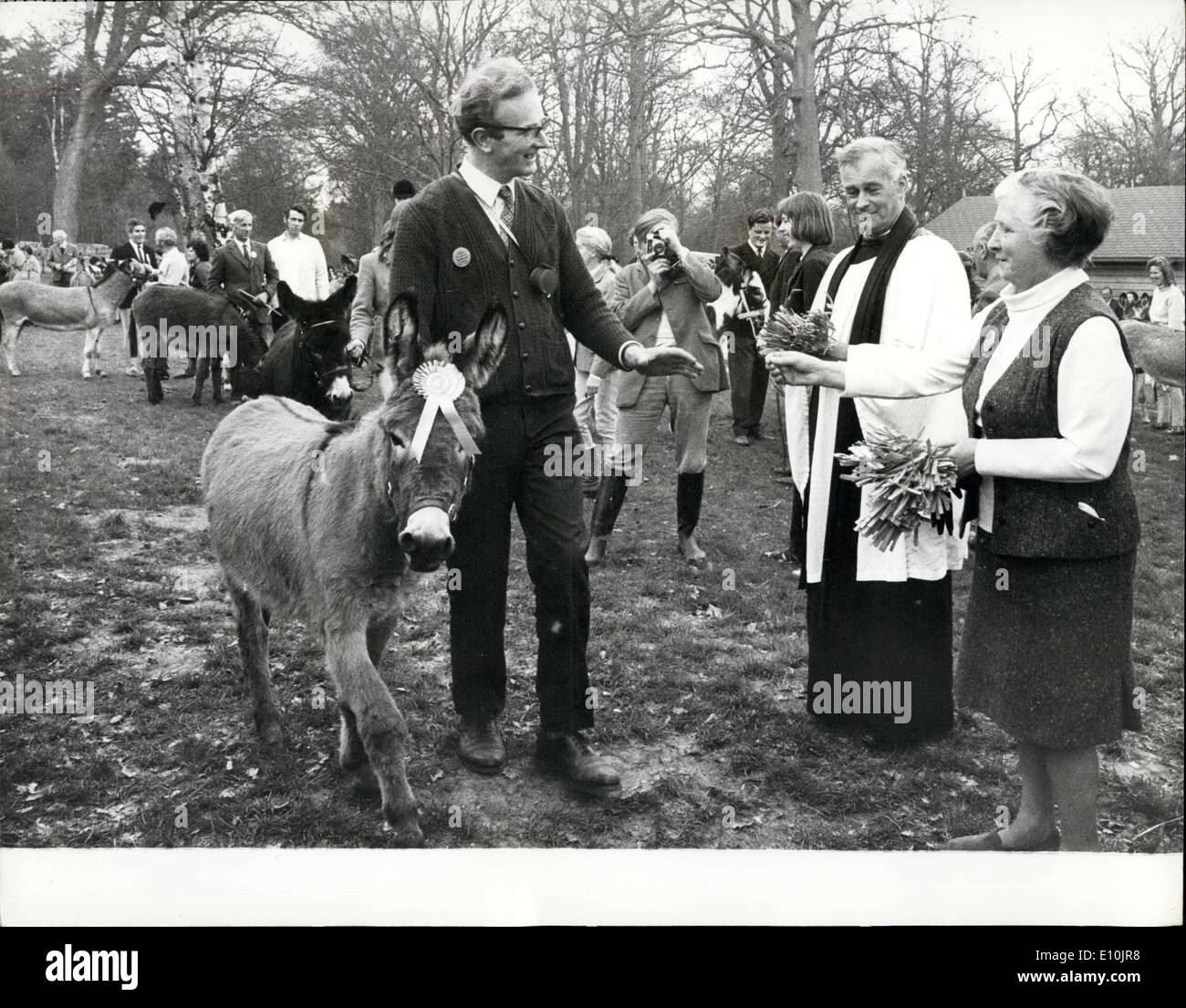 Apr. 16, 1973 - Bramshill Palm Sunday Donkey Show: A handler receiving palm crosses from the Rev. M.B.S. Godfrey, Rector of Eversley, Hants, and his wife at Bramshill Palm Sunday Donkey Show, where 160 animals received the Rector's blessing. Stock Photo