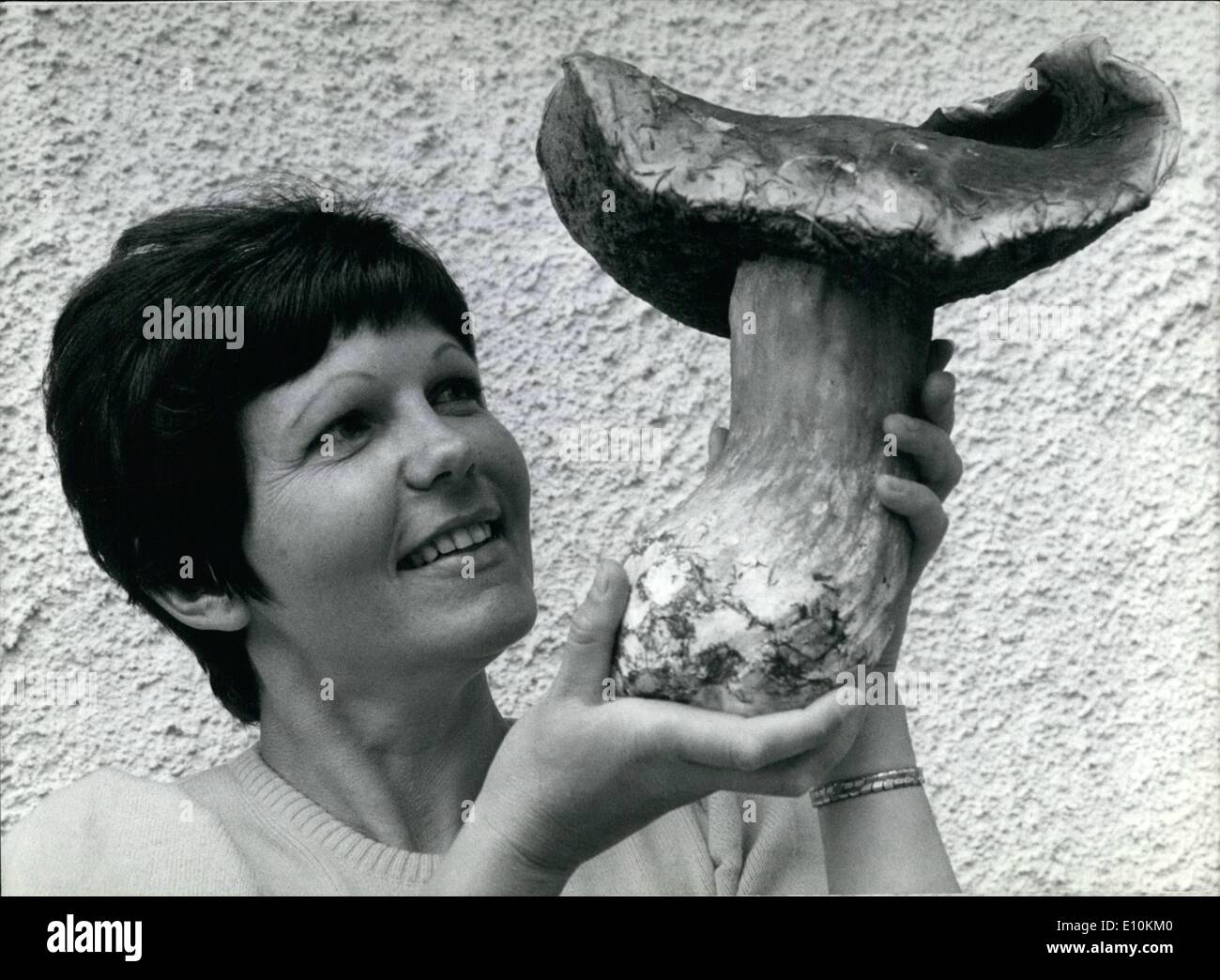 Jul. 07, 1973 - This enormous specimen of a mushroom; was found by Brigitte Friedl (our picture) in the woods near her home in Grasbrunn, situated in the vicinity of Munich. The mushroom is so big, that it'll do for a meal even for a large family, weighing 1760 grams. The stem's circumference is 31 centimeters, its height is 20 cm; the circumference of the cap is 29.5 cm. What a giant among mushrooms, certainly specimens of this size are only seldom found. Stock Photo