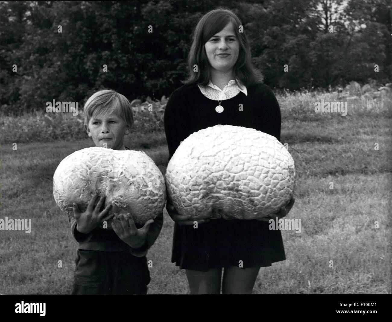 Jul. 07, 1973 - A very rich Mushroom Harvest; The family Bieri in Eschholzmatt, canton of Lucerne, is very proud of their rich mushroom harvest. Son Roman found a bovist mushroom with a weight of 9,250 kilogram, another of 5,500 kilograms. People rallied from all around to see these gigantic mushrooms. Stock Photo
