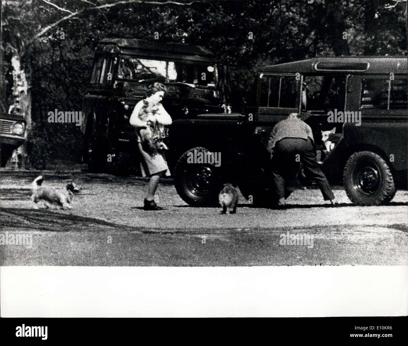 May 15, 1973 - The Queen Has Dog Trouble: H.N. The Queen got into a Right Royal dither when her corgis escaped from the truck in Great Park. Windsor and there was nothing for it but for her Majesty to round them up. Photo Shows, they gave the Queen a right run around. Stock Photo