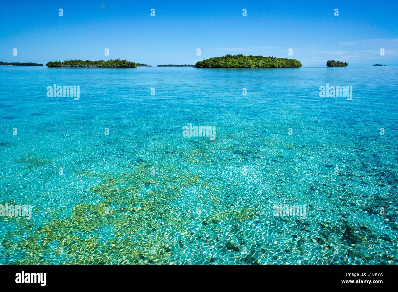 Palau Islands, Palau, Micronesia April 2014 Stock Photo Alamy