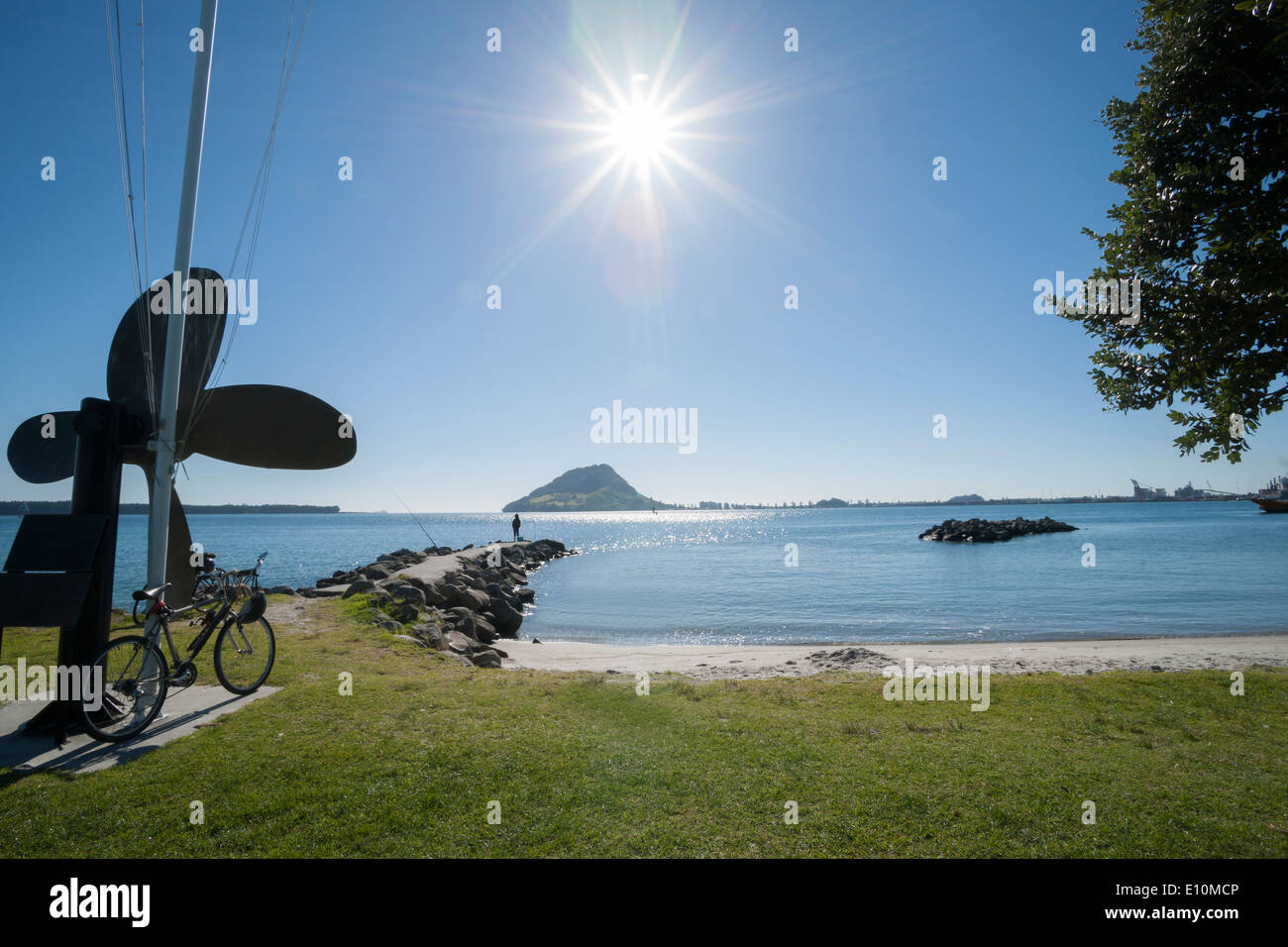 Sun bursts across the Tauranga Harbour, the bronze propeller form now