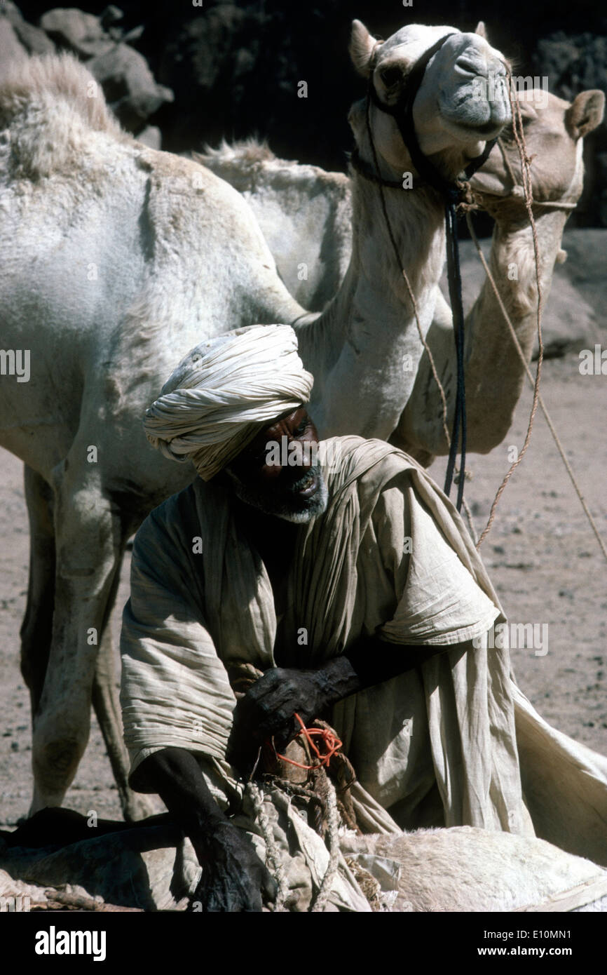 Beja and his camel resting in desert south of Aswan. He is on his way to Sudan. Stock Photo
