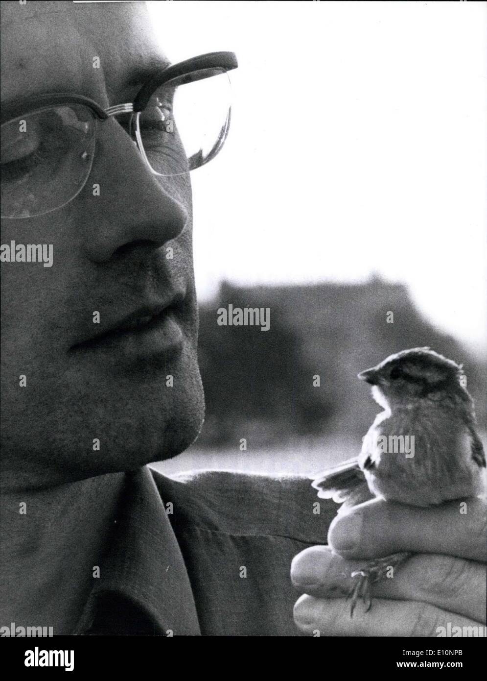Aug. 23, 1973 - The First tame sparrow of the world.. is called ''Jonathan''. It's just a tiny bit of a ''person'' and for ornithologists an enormous sensation for until now they had to assume it was not possible to breed sparrows within captivity. Jonathan, however, which is out of his shell now only, 6 weeks, has proven the unlikely to come true. His parents have lived in captivity for two years, their home being a huge bird-cage in Widdleswehr near Emden. It belongs to Rudolf Bruns(36) who is an electrician and a hobby ornithologist as well. No wonder Mr Stock Photo