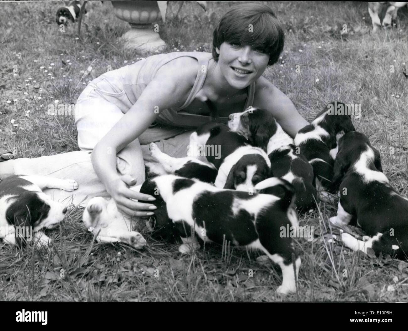 Sep. 09, 1973 - Dogs Galore..This young and charming actress who is playing at present in ''Charley's Aunt'' at Dusseldorfs ''Komddie'' play-house owns 9 young bassets and 3 grown-up ones. On our photo she is trying to ''herd'' the whelps, but pretty soon she will have to get rid of them, too much - or as in this case too many-is simply too much; In case someone is interested; the price for one of these whepa range between 500 and 800 DM Stock Photo