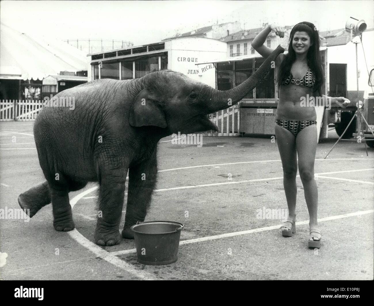 Rugby france 1973 hires stock photography and images Alamy