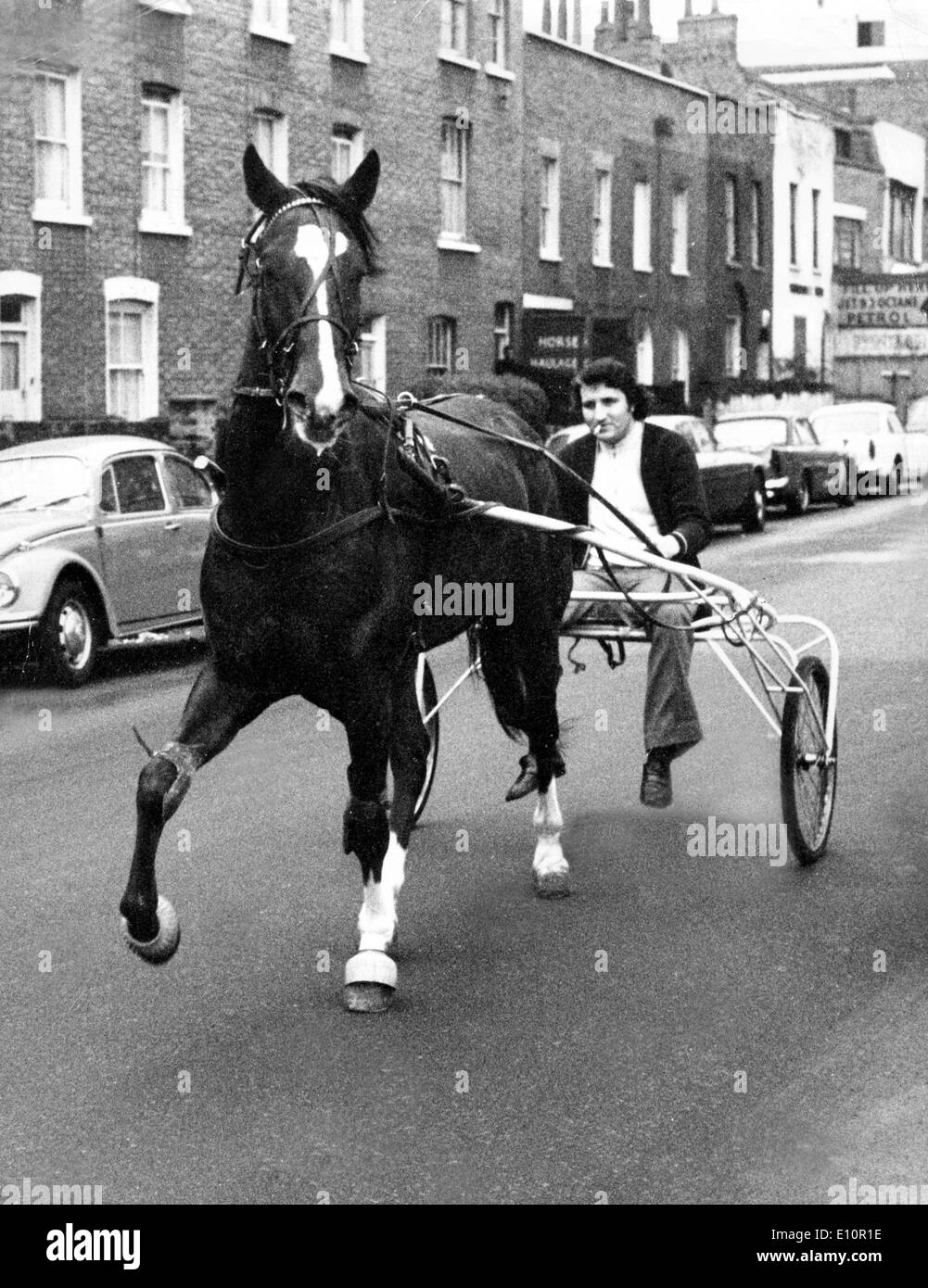 1973 oil crisis - Alternate ways of transport - a man in a racing sulky drawn by a horse Stock Photo