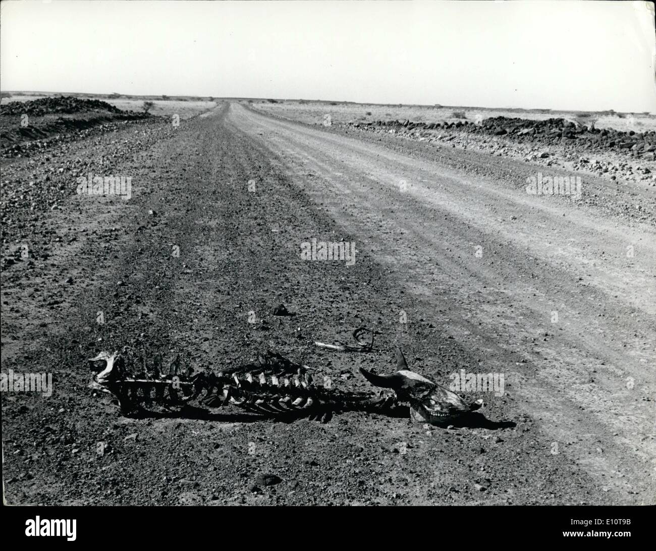 Mar. 03, 1974 - Kenya's Arid North: On the main Kenya/ Ethiopia highway: Muta testimony to the nomad's losses. Stock Photo