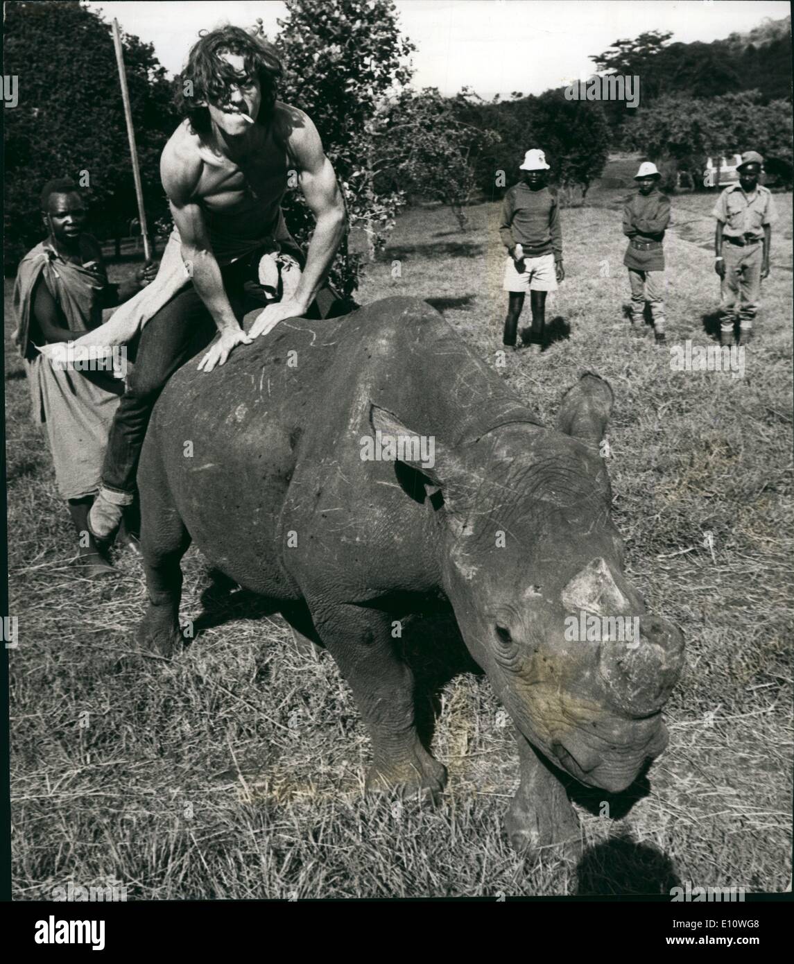 Jul. 07, 1974 - ''Ride 'em cowboy!'' - Bobby Kennedy tries to ride a semi-tame rhinoceros outside Nairobi during filming for the TV series. Stock Photo