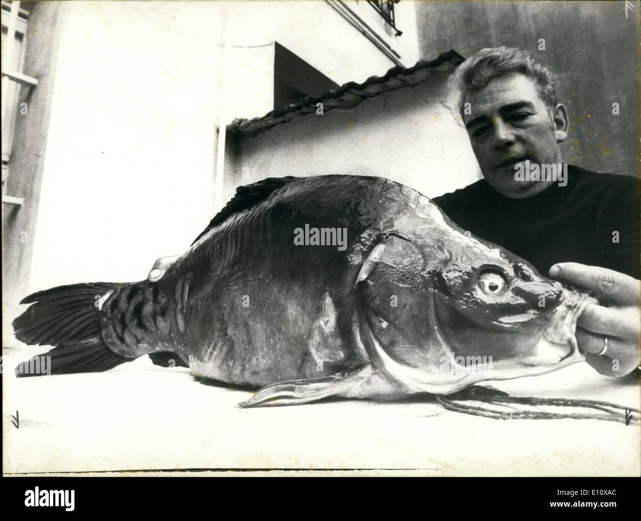 May 08, 1974 - It was 73 cm long and 30 cm wide. Stock Photo