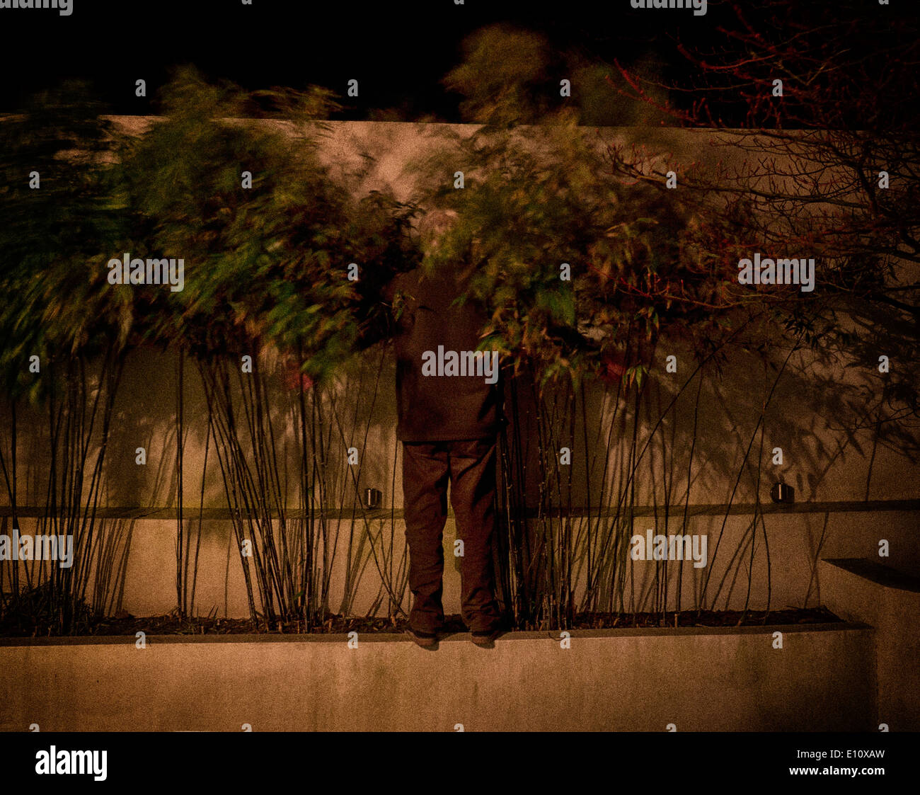 Man on a terrace at night Stock Photo 69476817 Alamy