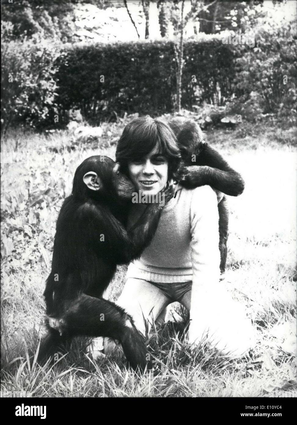 Aug 30 1974 Philippe Cantrel Playing With Chimpanzees Stock Photo aug-30-1974-philippe-cantrel-playing-with-chimpanzees-stock-photo