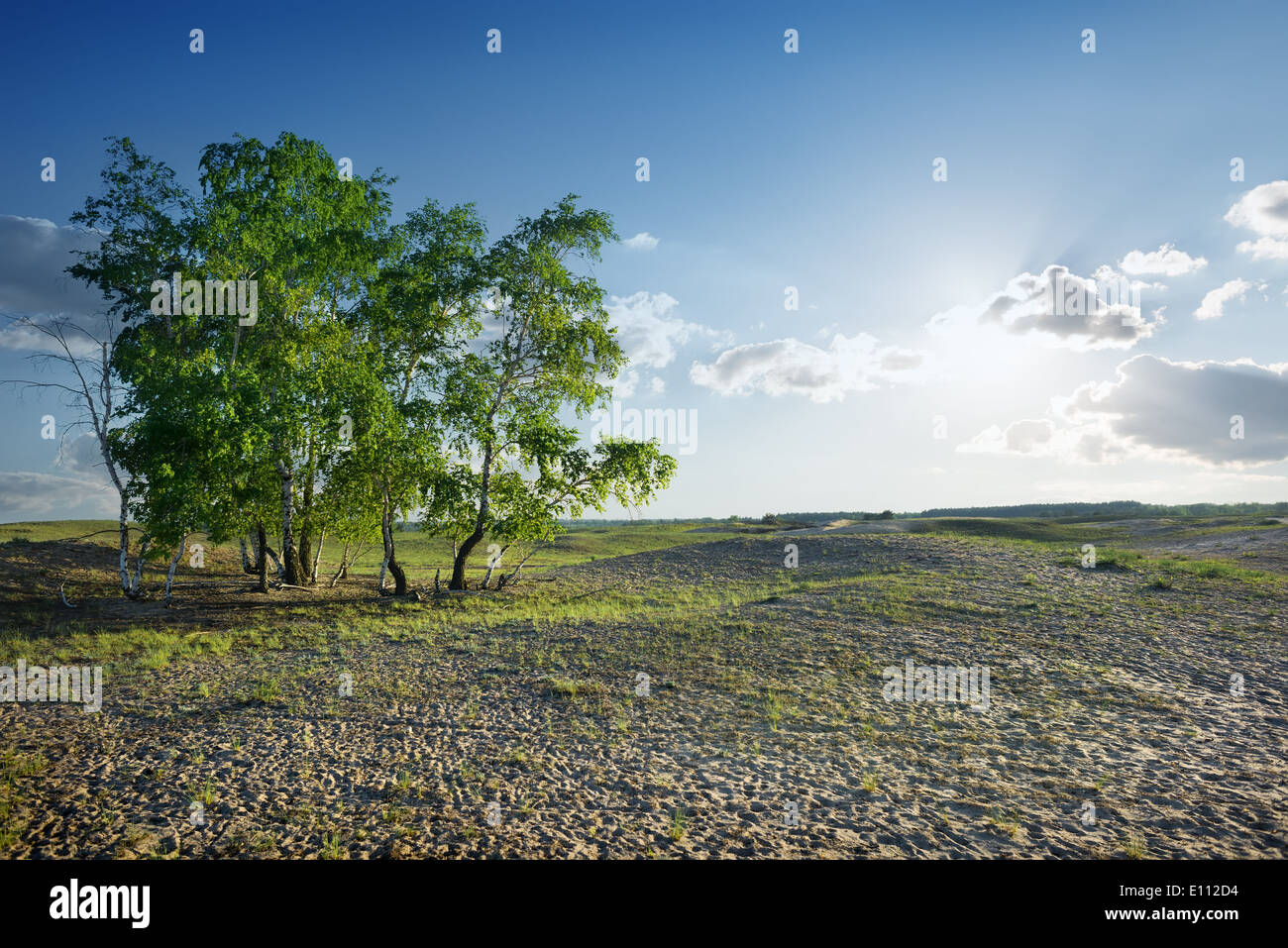 Cloudy sky and sunlight over sandy desert Stock Photo