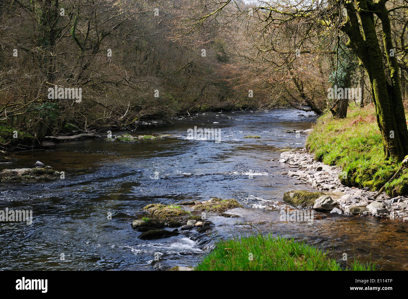 Danes brook hi-res stock photography and images - Alamy