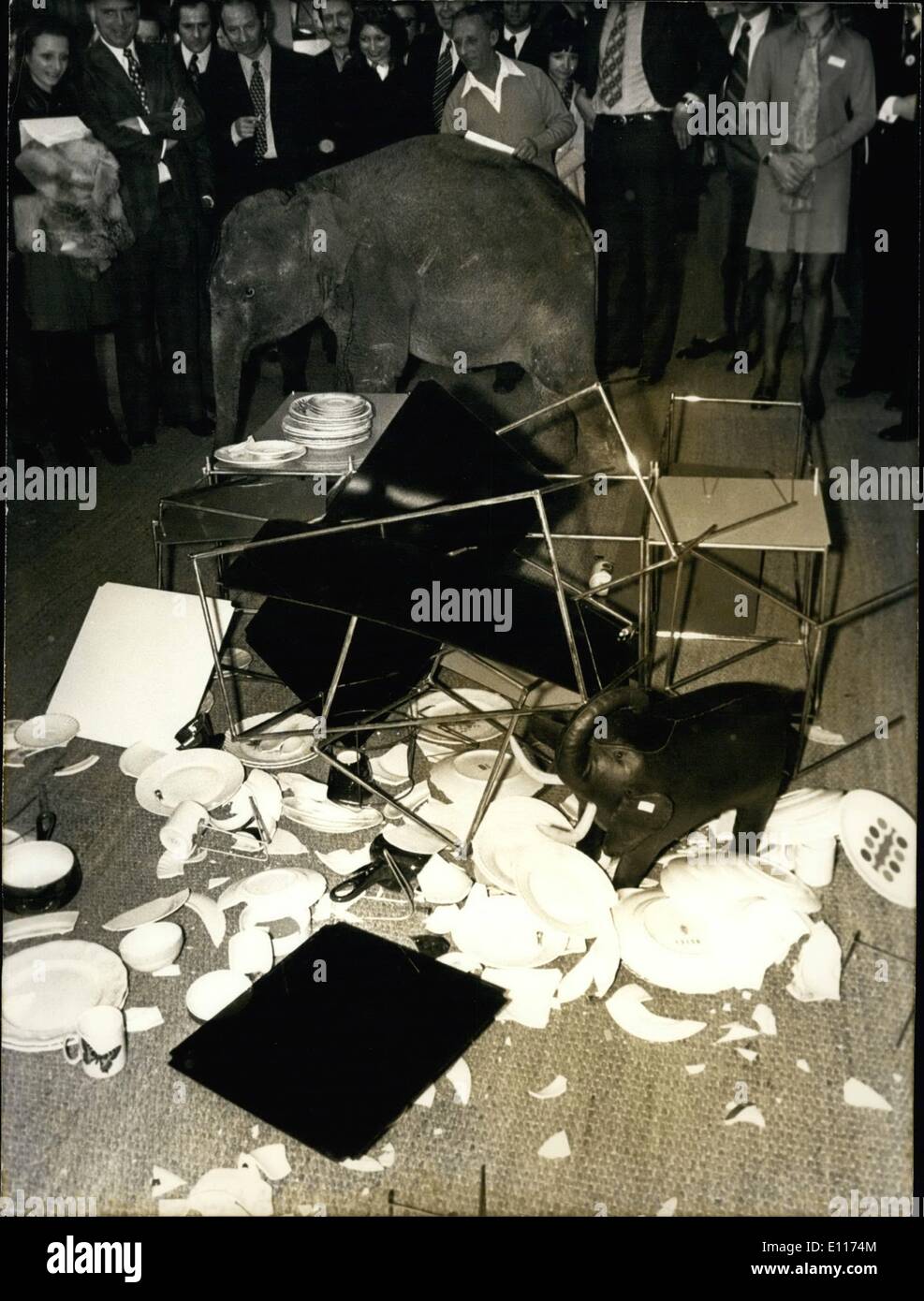 Mar. 03, 1976 - Elephant in China Shop. True to the saying, Syntho the baby elephant smashed and destroyed cups, plates, and other objects on its way around an exhibition of China, glassware etc. Now being held at the Parc Des Expositions, Paris. Syntho was specially brought from a circus to perform this publicity stunt. OPS: Syntho among the smashed Crockery. March 26/73 Stock Photo