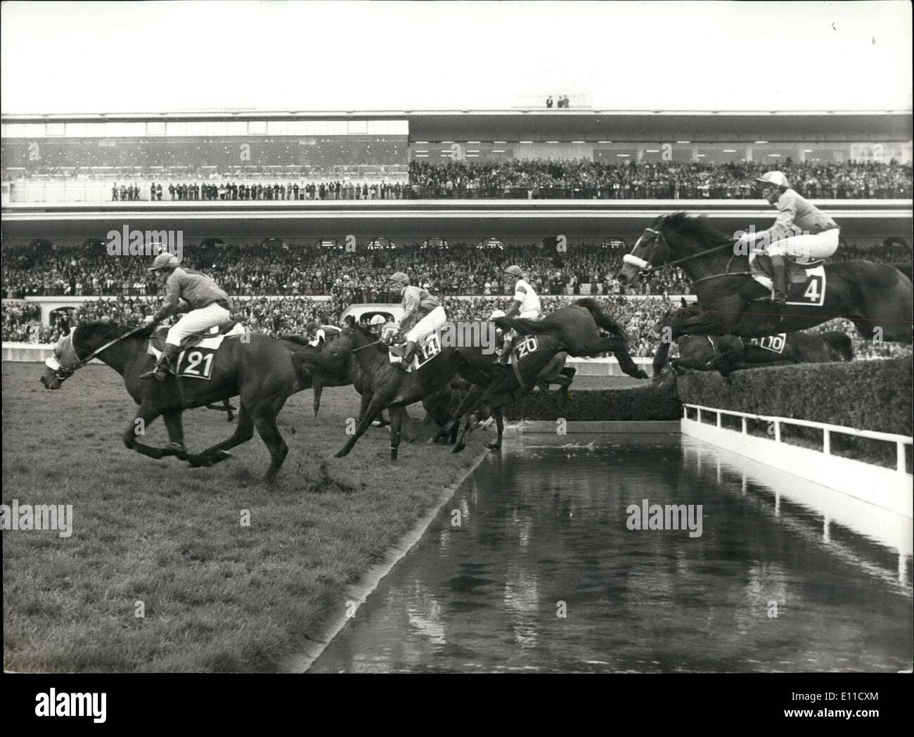 Horse Racing Hippodrome Stock Photos