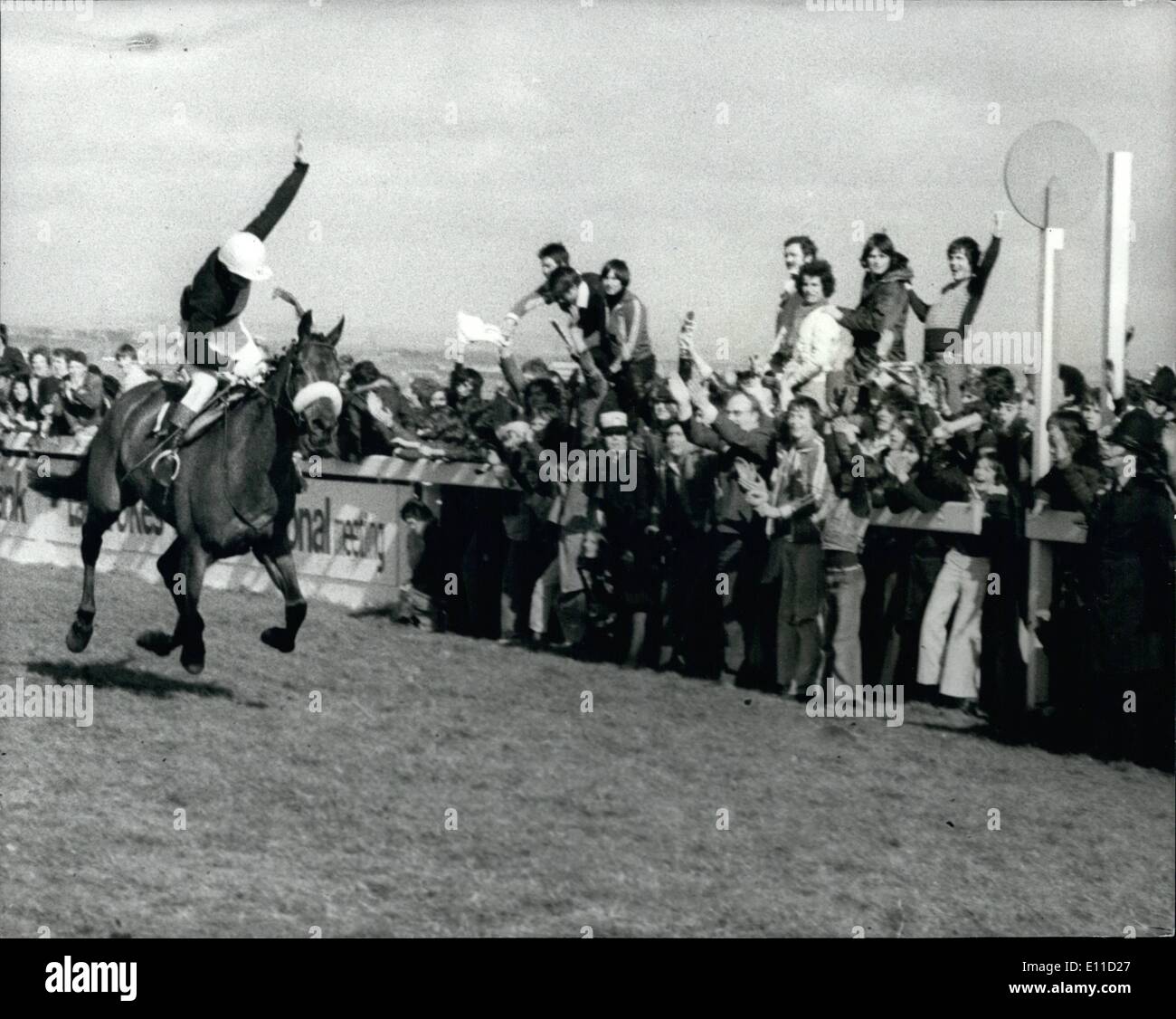 Apr. 04, 1977 - Red Rum Makes Racing History By Winning His Third Grand National At Aintree: Red Rum made racing history today by winning his third national at Aintree he as also finished second twice. Photo shows. there is no mistaking jockey Tommy Sack's jubilation as Red Rum goes past the winning post to win his third Grand National. Stock Photo