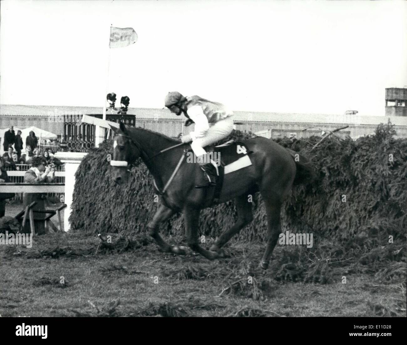 Apr. 04, 1977 - Charlotte Brew Just Fails To Complete The Aintree Caurse in The Grand National: 21 year old Charlotte Brew, the Stock Photo