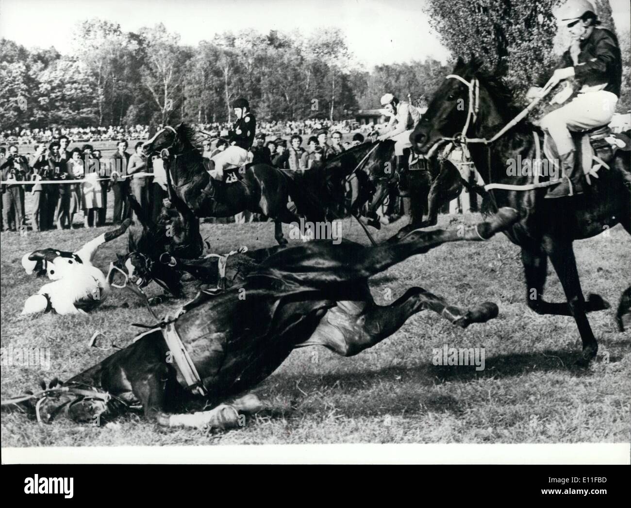 Oct. 10, 1977 - The Grand Pardubice: The oldest and most difficult Steeple Chase on the continent of Europe, The grand Pardubice, was won by the Czech Jockey Vaclar Chaloupka riding Vaclav, this is the fourth time he has won the race. Photo Shows Horse and riders falling at the Taxis ditch most difficult fence in the Pardubice. Stock Photo