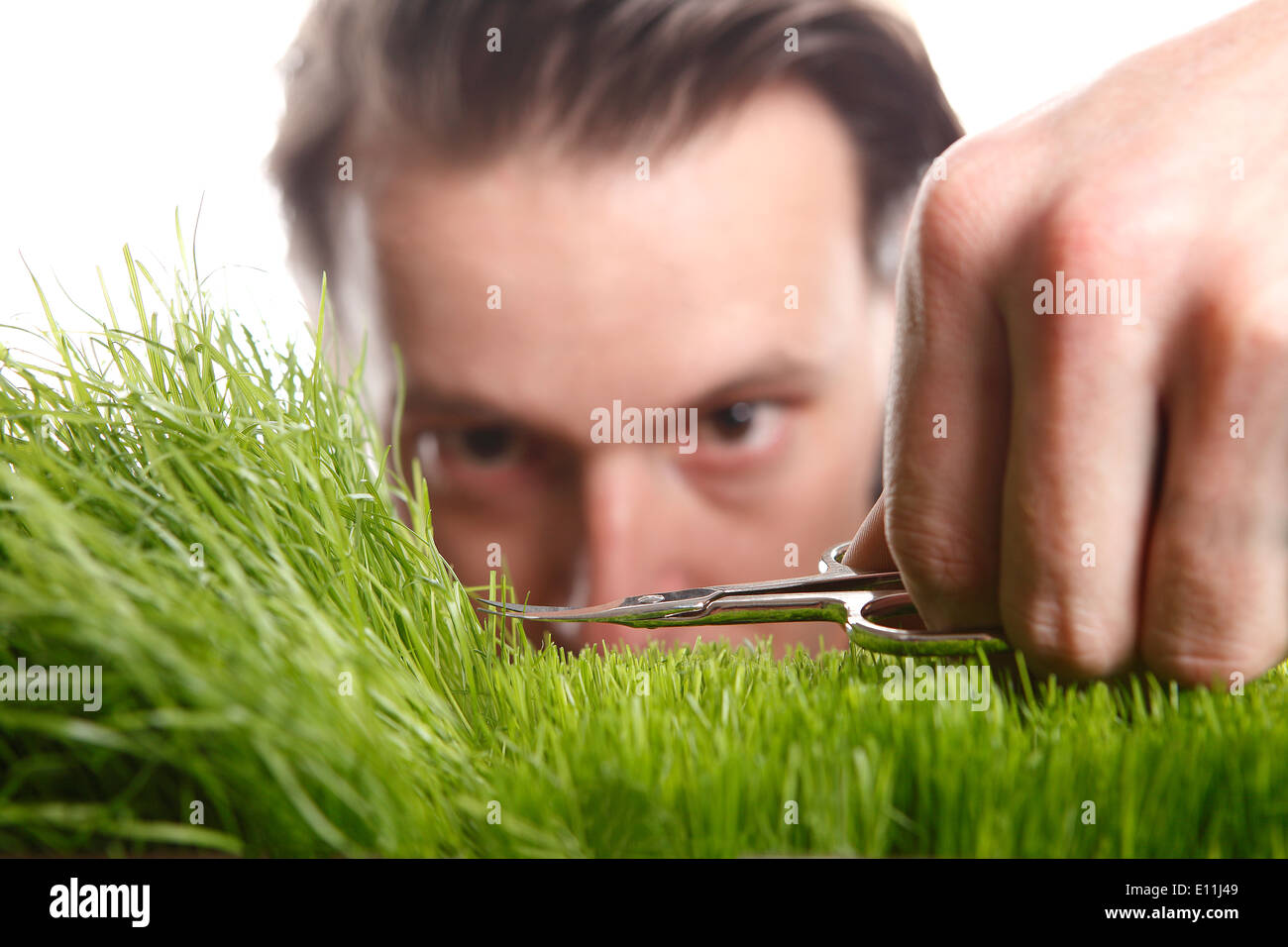 Young man cuts English lawn with a nail scissors Stock Photo